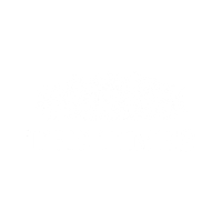 LOGO THE TIMES