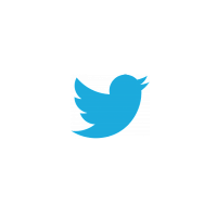 LOGO TWITTER