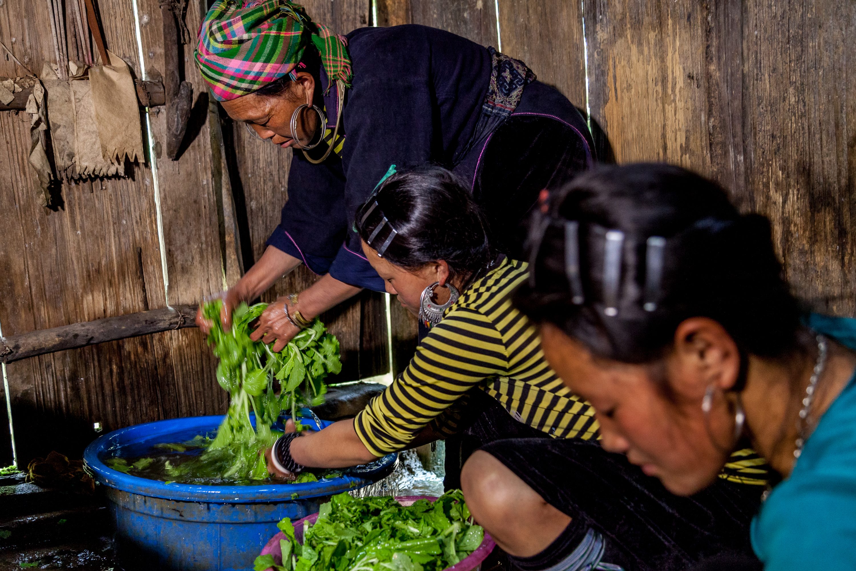 AGRICULTURE AND FOOD PORTFOLIO A group of Hmong women wash vegetables in Vietnam