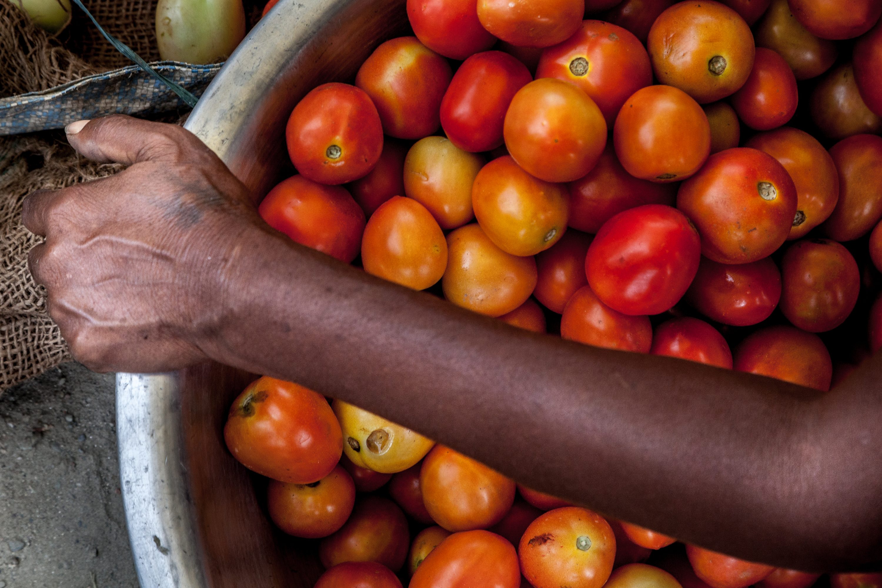 AGRICULTURE AND FOOD PORTFOLIO A food vendor carries a big pot filled with tomatoes in Nepal