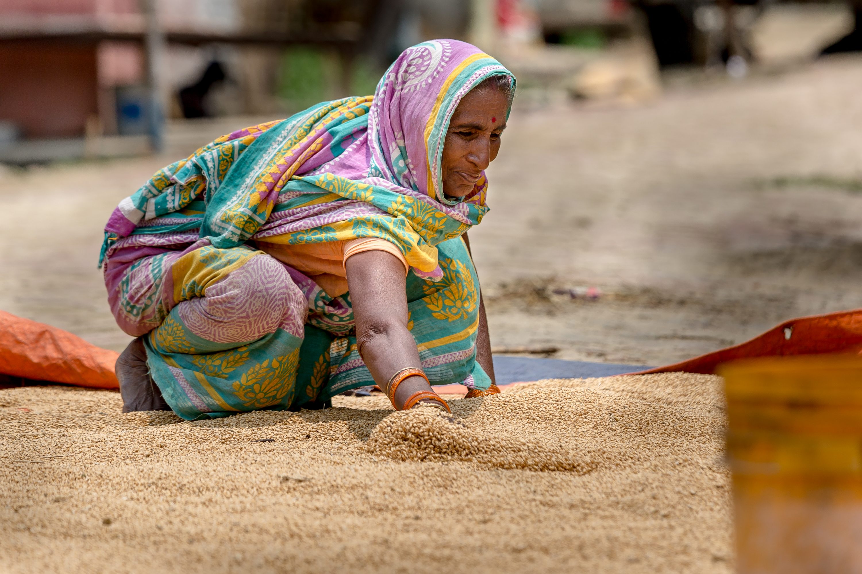 AGRICULTURE AND FOOD PORTFOLIO A woman husks rice in Nepal