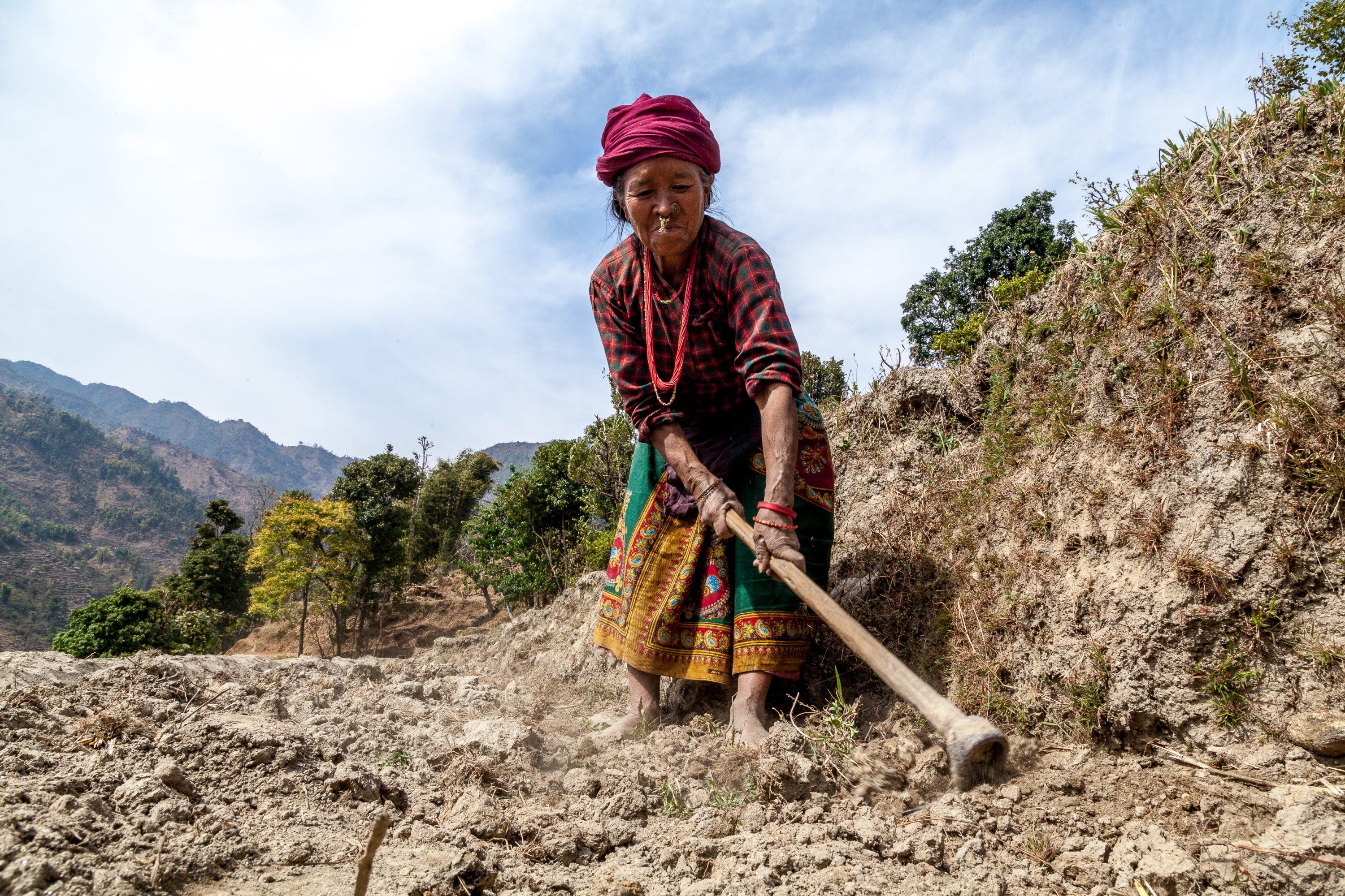 AGRICULTURE AND FOOD PORTFOLIO A woman digs terraces with a pick in Nepal