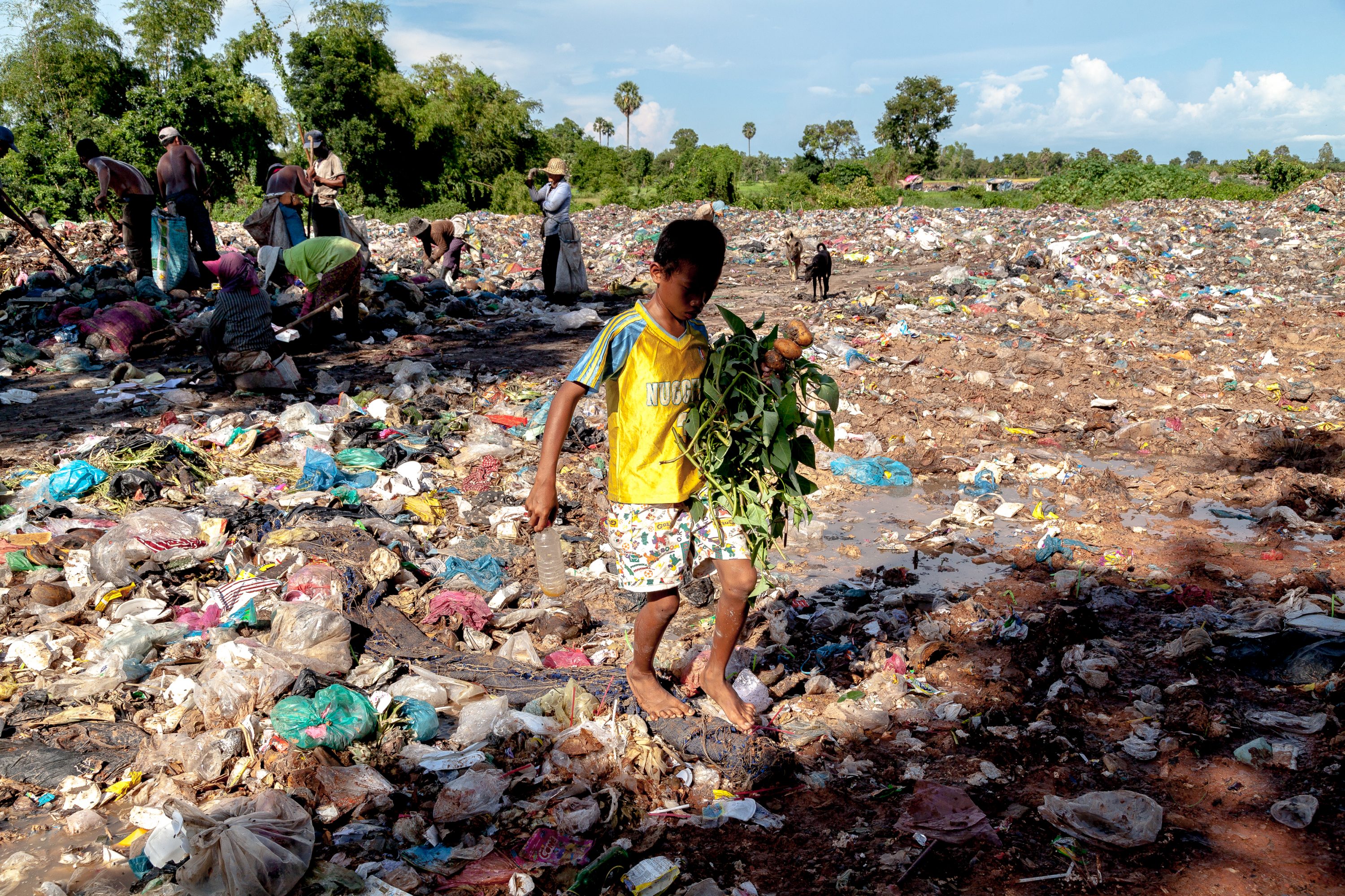 AGRICULTURE AND FOOD PORTFOLIO A young scavenger carries some potatoes in Cambodia