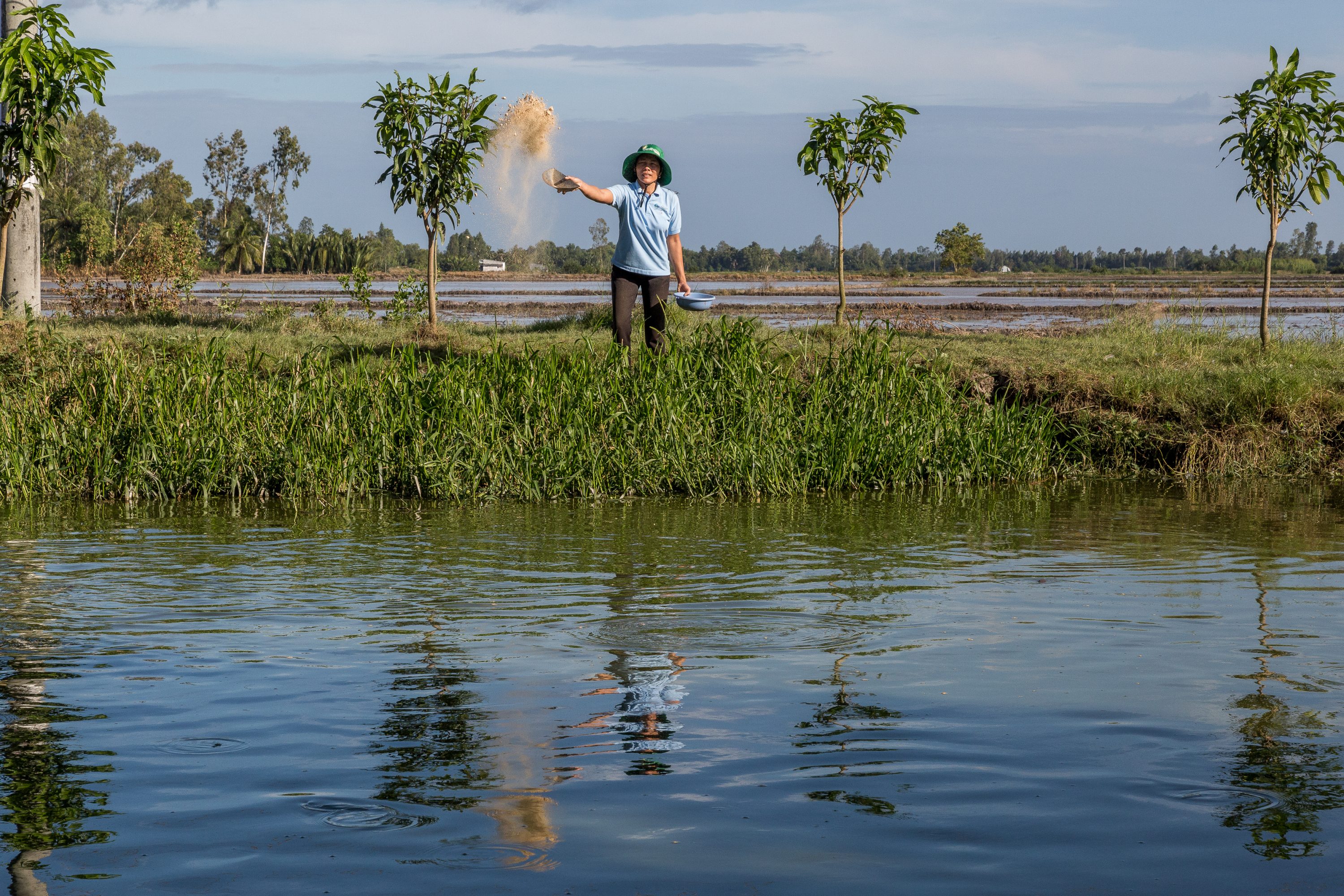 AGRICULTURE AND FOOD PORTFOLIO A woman feeds fish in Vietnam