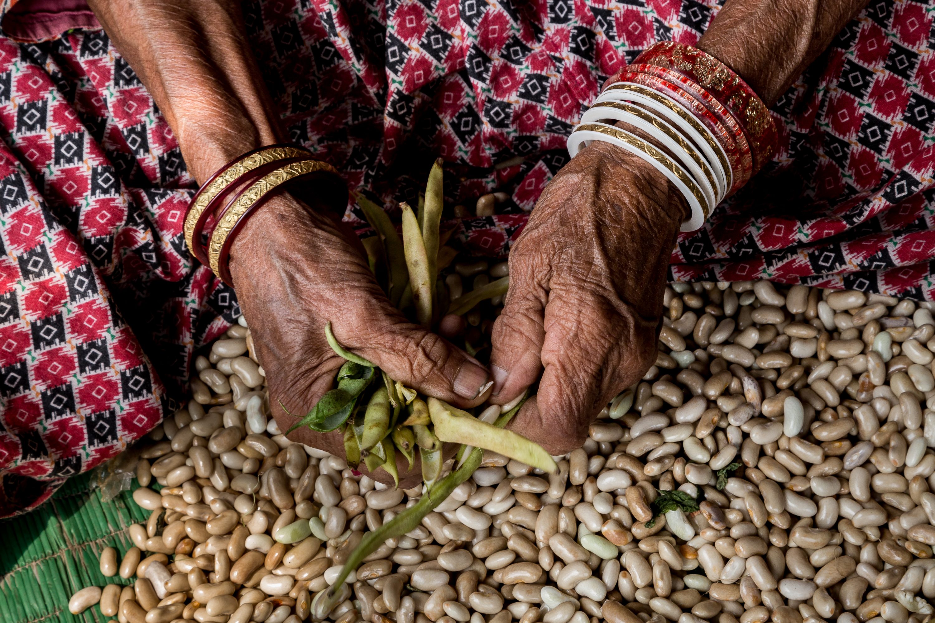 AGRICULTURE AND FOOD PORTFOLIO A woman cleans beans in a refugee camp in Nepal