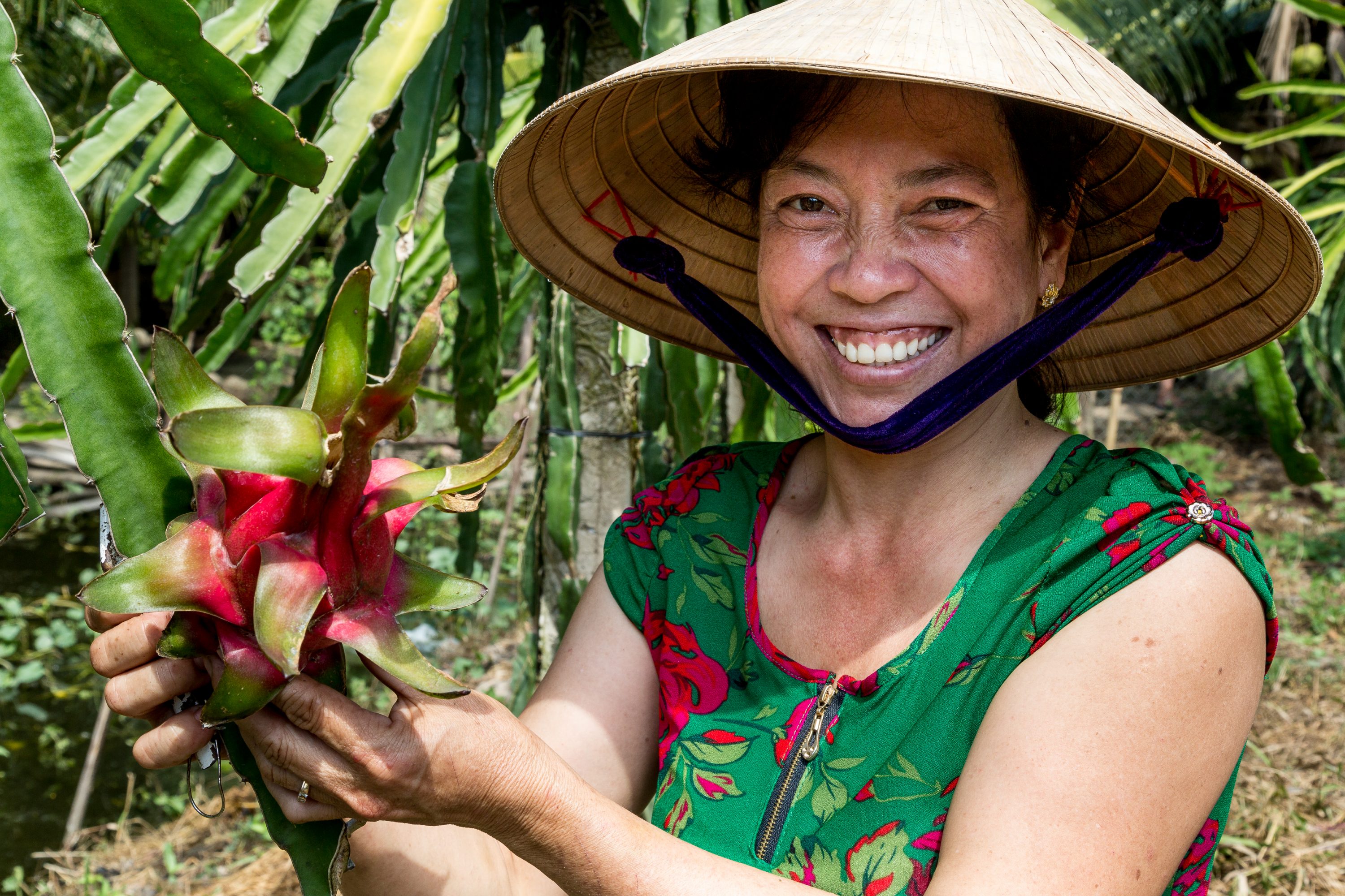 AGRICULTURE AND FOOD PORTFOLIO A woman holding a dragon fruit poses for a photo in Vietnam