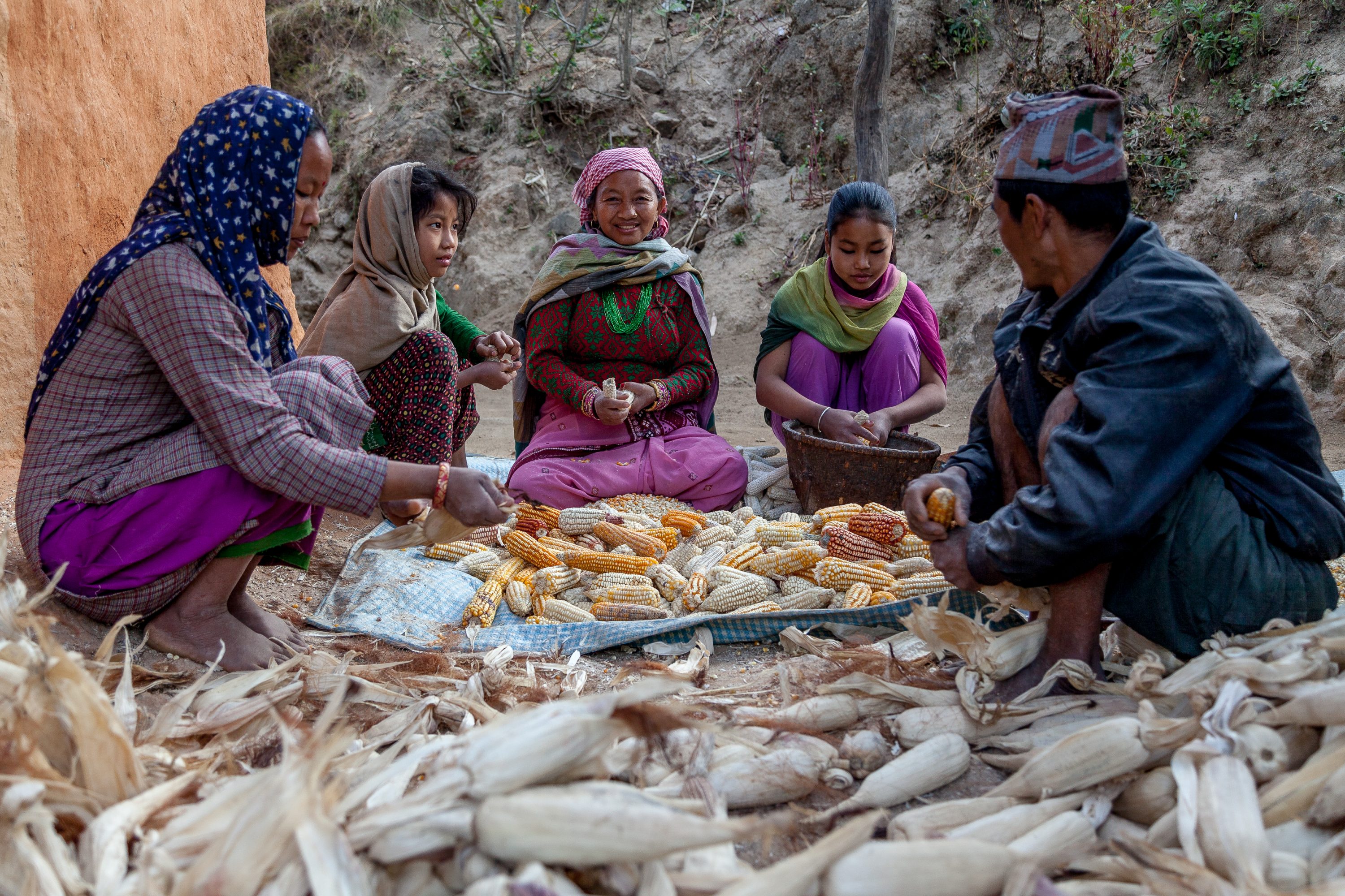 AGRICULTURE AND FOOD PORTFOLIO Members of a family husk corn in Nepal