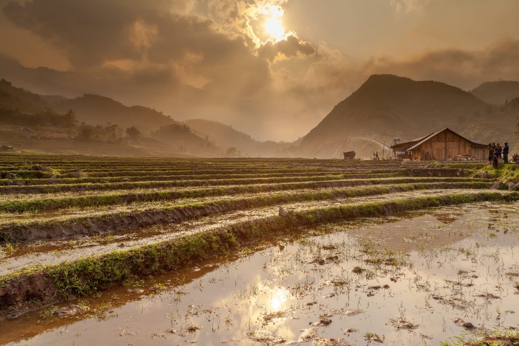 Sunset in one of the Hmong villages surrounded by rice paddies in Vietnam