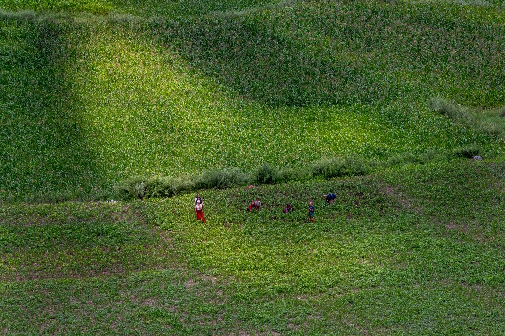 Farmers look at a helicopter flying over the Nubri Valley in Nepal